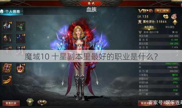 魔域10 十星副本里最好的职业是什么？