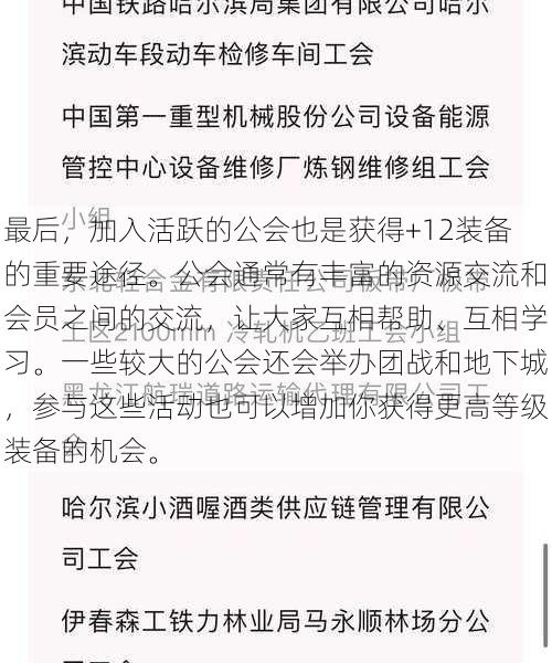 最后，加入活跃的公会也是获得+12装备的重要途径。公会通常有丰富的资源交流和会员之间的交流，让大家互相帮助、互相学习。一些较大的公会还会举办团战和地下城，参与这些活动也可以增加你获得更高等级装备的机会。