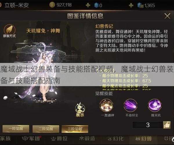 魔域战士幻兽装备与技能搭配视频，魔域战士幻兽装备与技能搭配指南